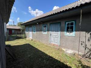  3-  , , 65000 $