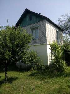  3-  , , 8500 $ - 