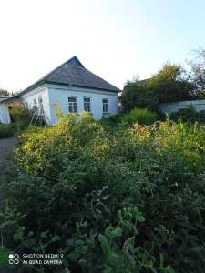  4-  , , 68000 $ - 