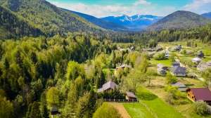  40-  ,  , 3500000 $ - 