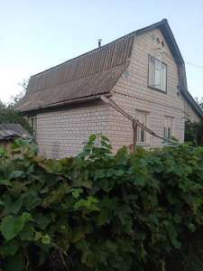  5-  , , 11000 $