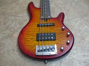  5 -  Ibanez Roadgear RD505(Korea)