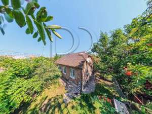  6-  , , 120000 $ - 