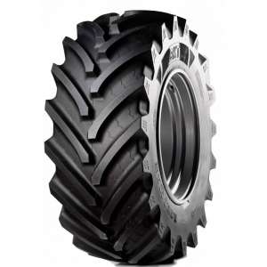  650/65R38 BKT    - 