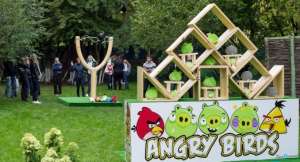  Angry birds     2013