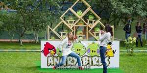  Angry birds   