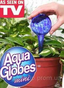 - AQUA GLOBES   - 