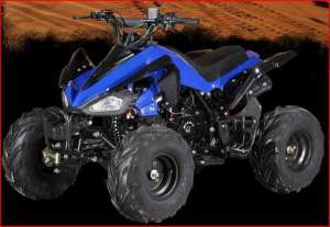  ATV 8016 110cc: 50/,  - 