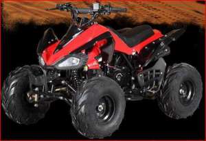  ATV 8016 110cc: 50/, 