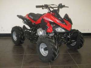  ATV 8016 110cc: 50/, 