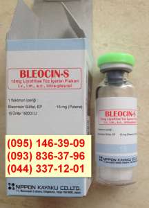  (Bleocin-S, ) 15 . 1 (, Nippon Kayaku Co., LTD)
