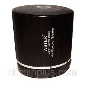  Bluetooth WS-231BT - 