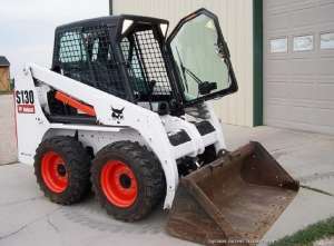  Bobcat
