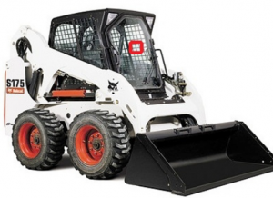  Bobcat