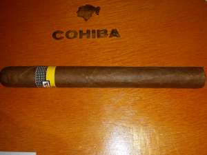  cohiba esplendidos