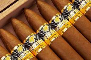  Cohiba Piramides