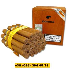  Cohiba Siglo 6