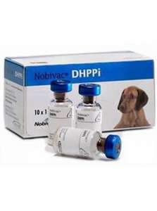  DHPPi (Nobivac DHPPi) . - 