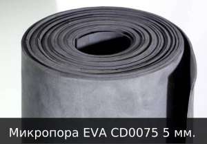  EVA CD0075 5 (  )