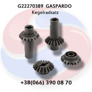  G22270389  2+2 Gaspardo