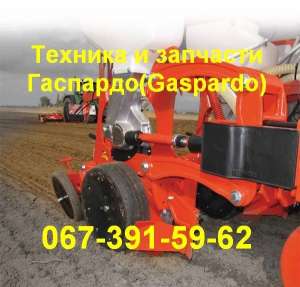  GASPARDO    G18903200