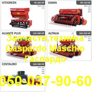  GASPARDO Directa ( ) - 