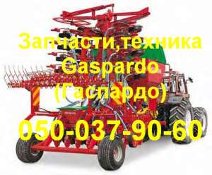  GASPARDO Gigante (Gigante Corsa) ( )   - 