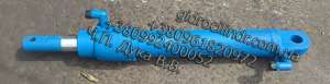  Hydraulic cylinder 80.55.390 chain on eo2621 - 