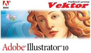  Illustrator.    - 