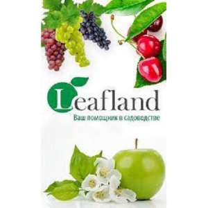 - Leafland -       