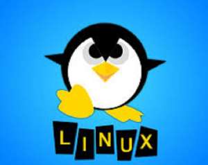  Linux.  