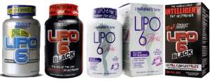  Lipo 6  