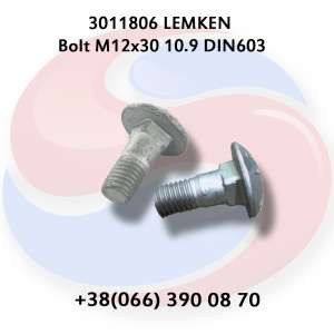  M12*30-10.9 3011806 Lemken - 