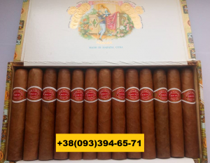  Romeo y Julieta Robustos - 