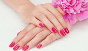 , Shellac ( )   .  - 