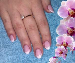  Shellac , . - 