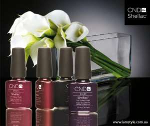  SHELLAC (CND)!   160! - 