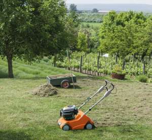 - Stihl RL540