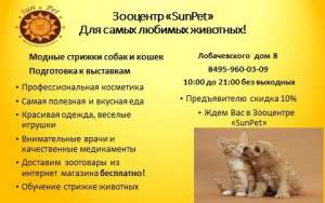  SunPet - 