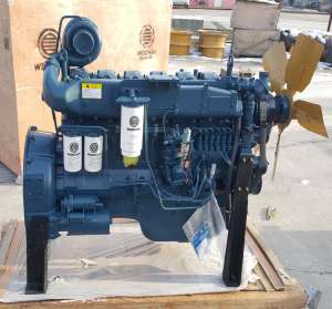  Weichai WD10G220E21