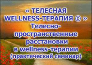  WELLNESS - Wellness bodywork - 