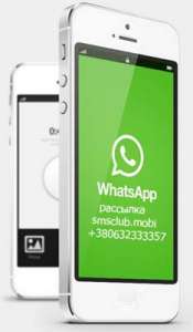  WhatsApp   ! - 