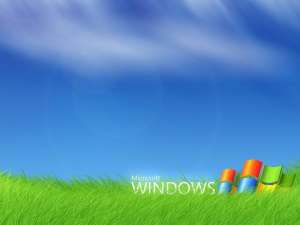  Windows 7, 8, XP   - 