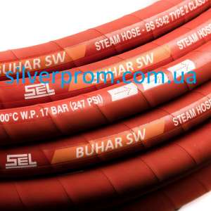 - ����� ��� ����