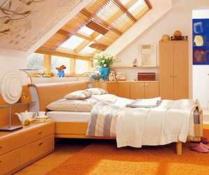 1 ��� ��������. ��������. 675 �� �� � - ����������