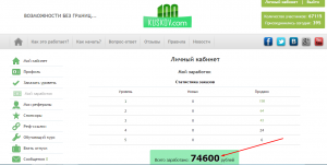 100Кусков - дополнительный доход - объявление