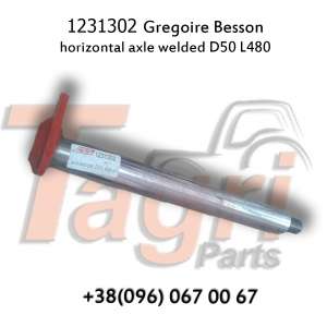 1231302 ³  L480 Gregoire Besson