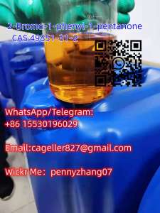 2-BROMO-1-PHENYL-PENTAN-1-ONE CAS 49851-31-2 - 