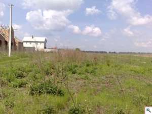 3 �� � �. ���������� (����� �������������) ��� ��������� �� 310000$! - ����������