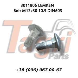 3011806  M12x30 Lemken - 